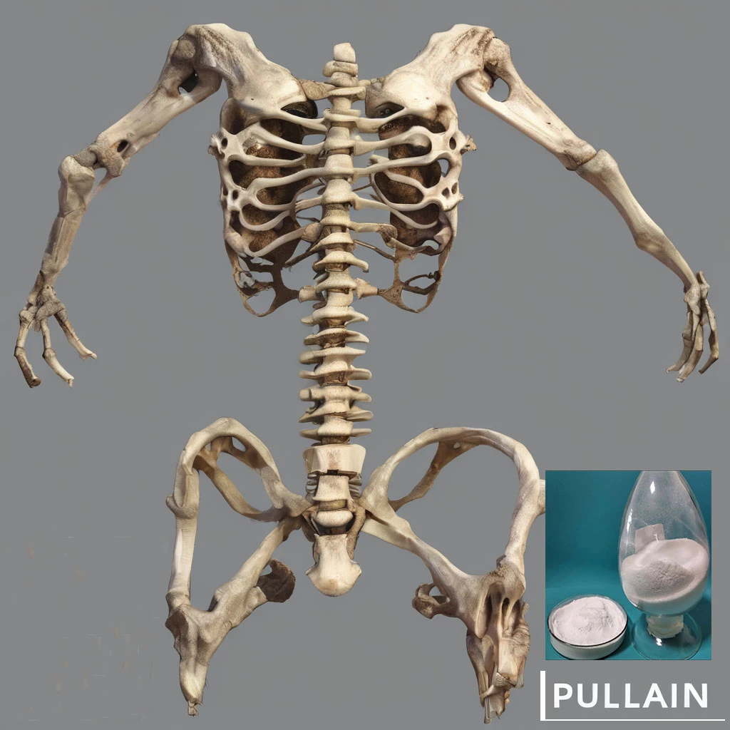 Pullulan_Guided_Bone_Regeneration (1).webp